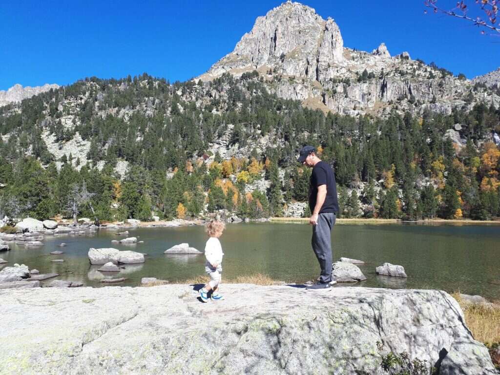 צילום שוק הביטוח