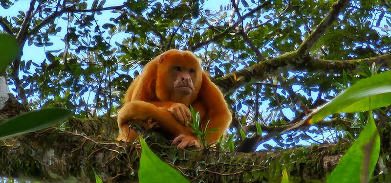 צילום מאסטר טריפ