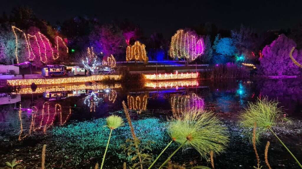 וינטר לייטס בחנוכה בגן הבוטני | תום עמית