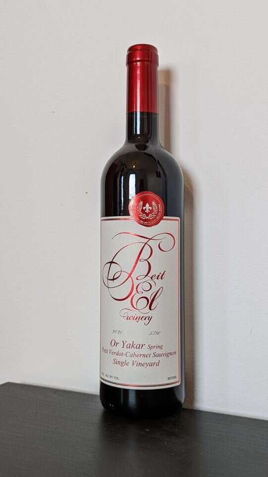 אלישע נקונצ'ני