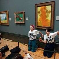 פעילות סביבה ליד הציור "חמניות" של ואן גוך בגלריה הלאומית בלונדון, לאחר ששפכו עליה מיץ עגבניות, לפני כחודשיים. | רויטרס