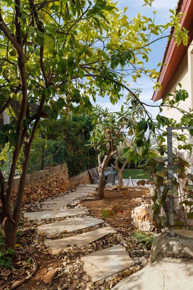 ברוך גרינברג