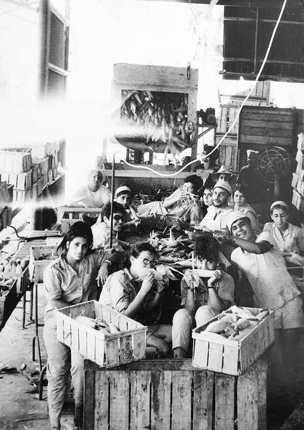 היה כיף להחיות את הזיכרונות, אבל התחלתי להתעייף מהחברים". יושבת מלפנים, מימין: צדרבוים. | באדיבות חברי גרעין גלבוע היה כיף להחיות את הזיכרונות, אבל התחלתי להתעייף מהחברים". יושבת מלפנים, מימין: צדרבוים. | באדיבות חברי גרעין גלבוע