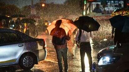 גשם בהודו. | EPA גשם בהודו. | EPA