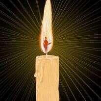 איור: שרון ארדיטי