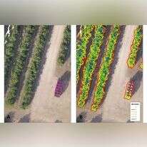 של רחפן עם אלגוריתם של בינה מלאכותית.