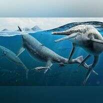 הדמיית השוניזאורוס. | הדמיה מאת גבריאל אוגואטו, באדיבות מוזיאון סמיתוניאן הלאומי להיסטוריה של הטבע