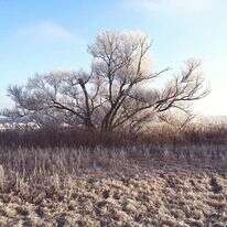 יבש. | שאטרסטוק