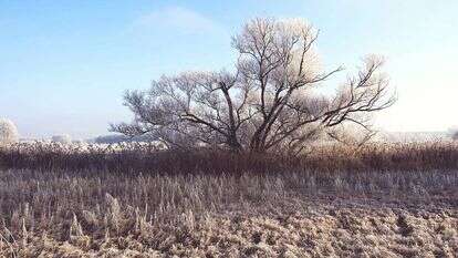 יבש. | שאטרסטוק