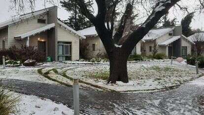 עין זיוון בשלג. | רוני עוז ריינר