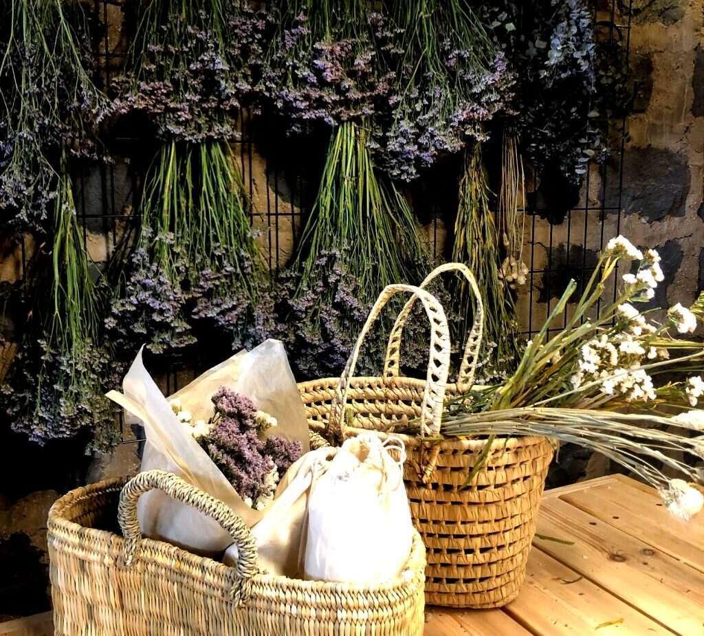 ‏‏ | תיירות עין זיוון