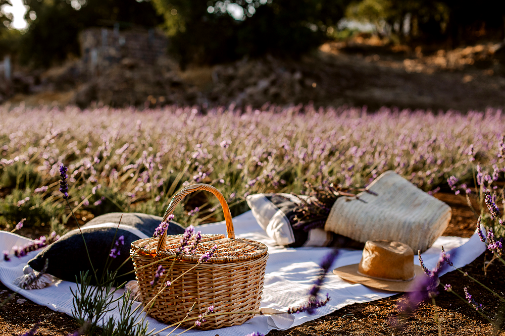 סלסלת פיקניק בחוות שדה עין זיוון. | נוראל זאבי