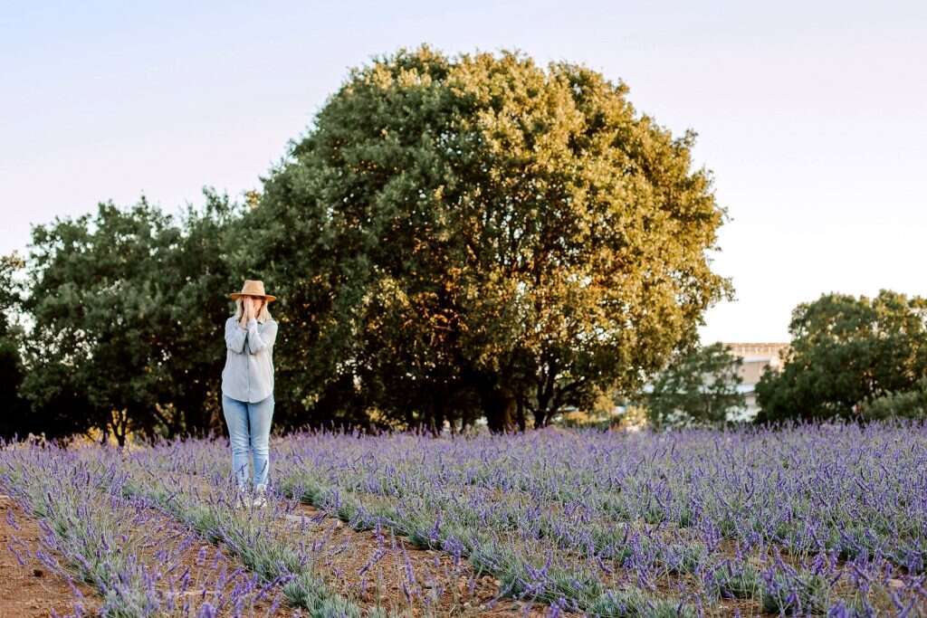 חוות שדה עין זיוון. | נוראל זאבי