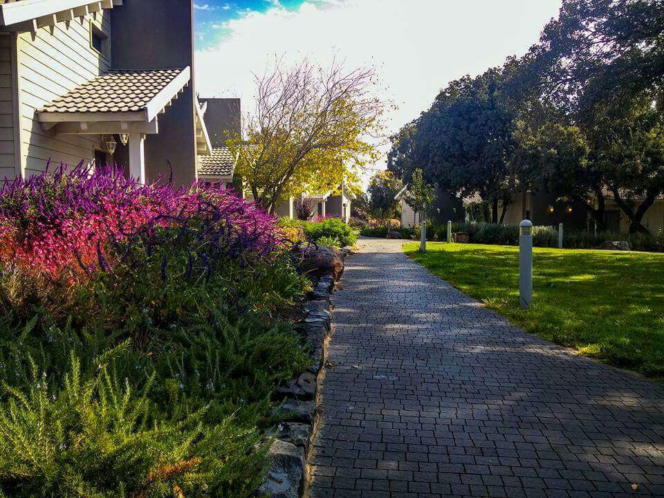 ‏‏כפר הנופש עין זיוון. | תיירות עין זיוון