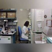 המרכז לחקר תאי גזע בבית החולים הדסה. | דוברות הדסה