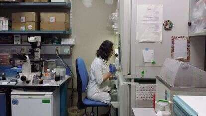 המרכז לחקר תאי גזע בבית החולים הדסה. | דוברות הדסה