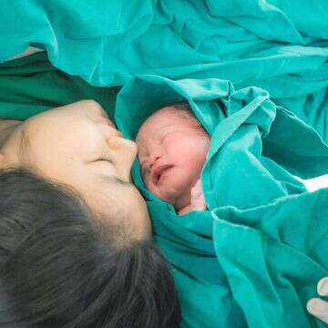 אילוסטרציה | שאטרסטוק