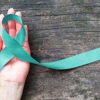 שאטרסטוק שאטרסטוק