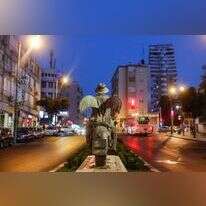 אבישג שאר ישוב