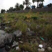 הכנרת בשפל, ארכיון. | גילי יערי, פלאש 90