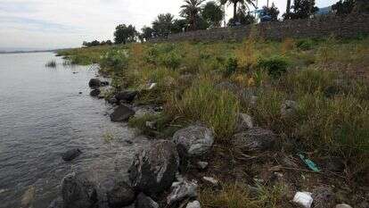 הכנרת בשפל, ארכיון. | גילי יערי, פלאש 90