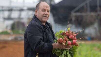 ניסים לסרי. | יוסי אלוני