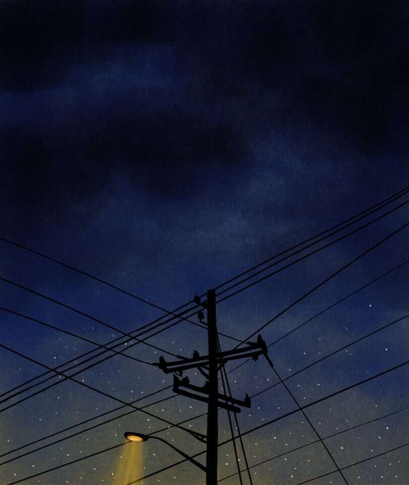 איור: שרון ארדיטי