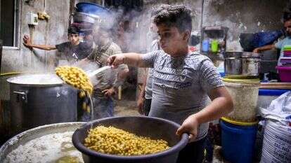 ה"אפונה" של המשנה היא החומוס של ימינו, שנקרא כך על שם האף הקטן של זרעיו. | ויסאם השלמון, פלאש 90
