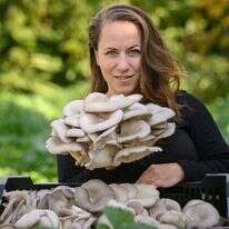 "הפטריות מכריחות אותך להשתמש בהרבה ידע". ברנע והמאיטקה. | אייל מרגולין, ג'יני