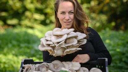 "הפטריות מכריחות אותך להשתמש בהרבה ידע". ברנע והמאיטקה. | אייל מרגולין, ג'יני "הפטריות מכריחות אותך להשתמש בהרבה ידע". ברנע והמאיטקה. | אייל מרגולין, ג'יני