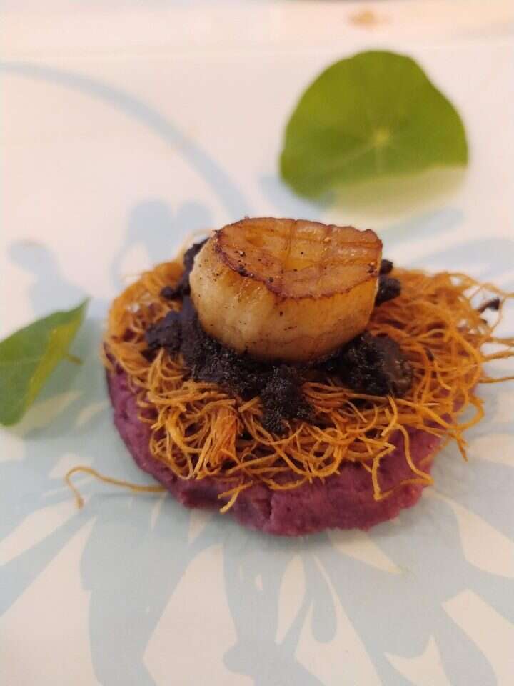 קוקי סאן ז'אק פטריות (מתכון בסוף הכתבה). | אוצרות היער קוקי סאן ז'אק פטריות (מתכון בסוף הכתבה). | אוצרות היער