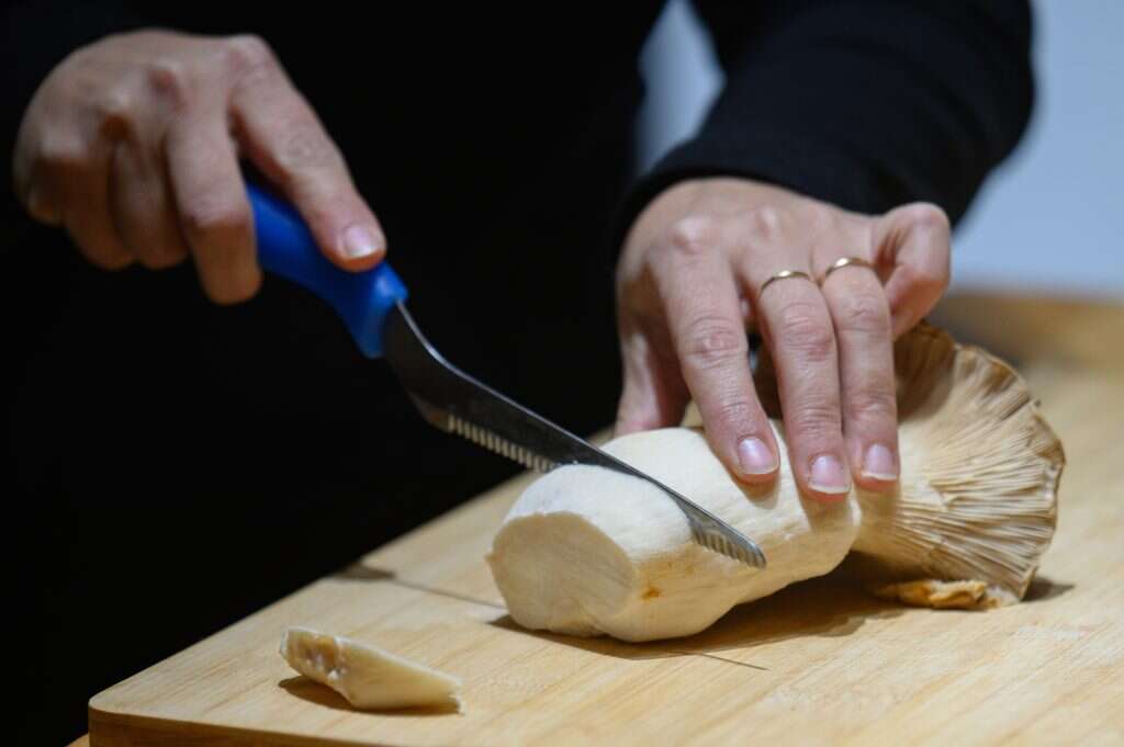 "בדרך כלל החקלאים הם גברים, בחרתי תחום שמתאים יותר לנשים". ברנע וחברה. | אייל מרגולין, ג'יני "בדרך כלל החקלאים הם גברים, בחרתי תחום שמתאים יותר לנשים". ברנע וחברה. | אייל מרגולין, ג'יני