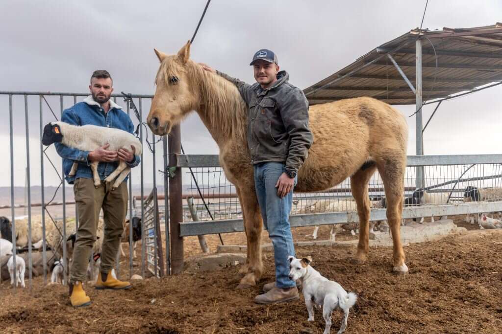 האחים ידידיה (מימין) ובצלאל בחוות טליה. | יוסי אלוני
