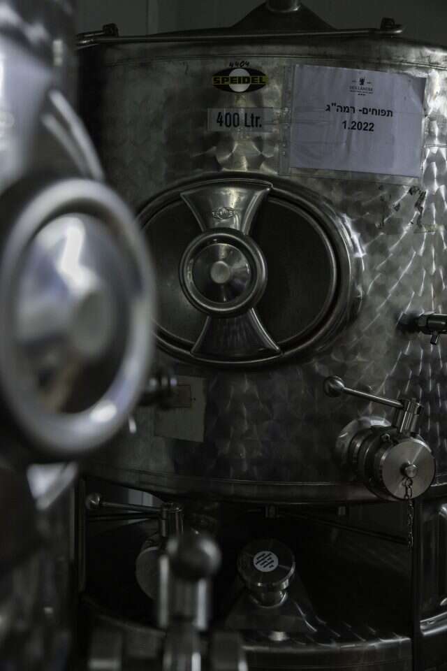 ברוך גרינברג