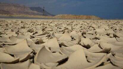 מבט על נזקי הבצורת באיזור חמי זוהר, סמוך לים המלח. ארכיון. | נתי שוחט, פלאש 90