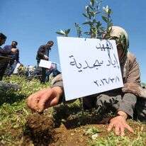 פלסטינים נוטעים עצים סמוך לרמאללה, ארכיון. | פלאש 90