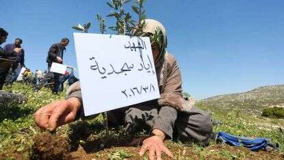 פלסטינים נוטעים עצים סמוך לרמאללה, ארכיון. | פלאש 90 פלסטינים נוטעים עצים סמוך לרמאללה, ארכיון. | פלאש 90