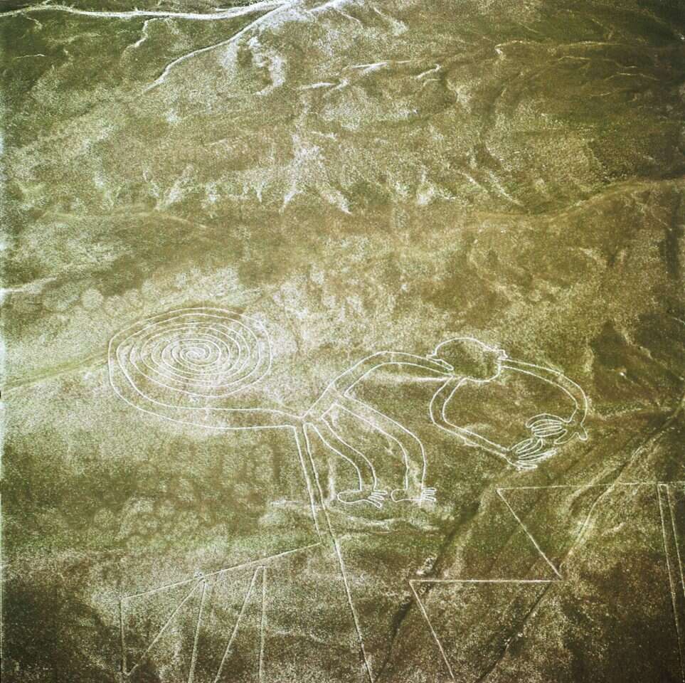 קווי נסקה גיאוגליפים, ציורי קרקע, בערבות פרו. חלק מהציורים הם בצורת עיגולים גורם: יצירה אנושית, המטרה לא ברורה. | גטי אימג'ס