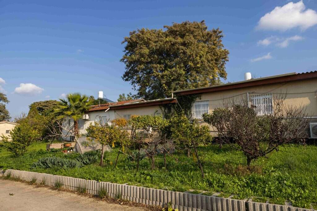 ברוך גרינברג