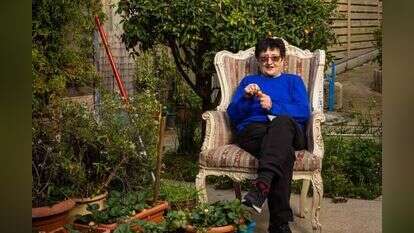 חווה שיק. | ברוך גרינברג