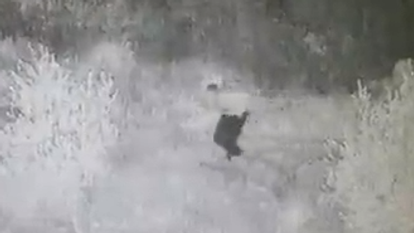 המחבל מתגנב אל היישוב