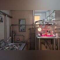 אבישג שאר-ישוב