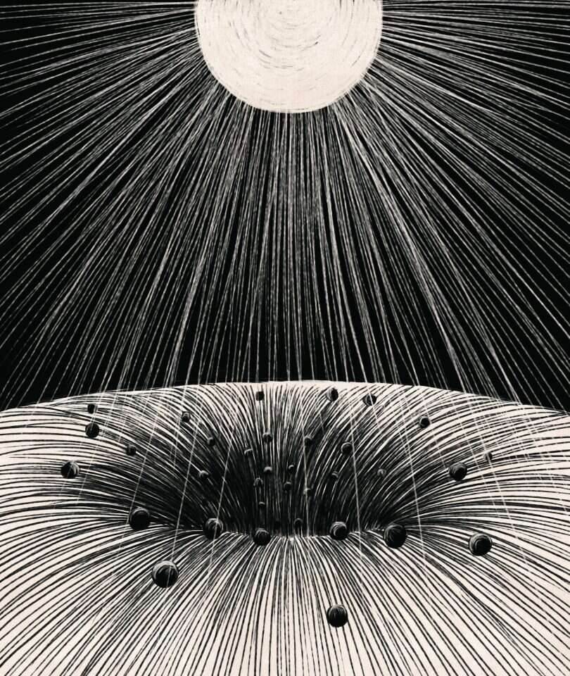 איור: שרון ארדיטי