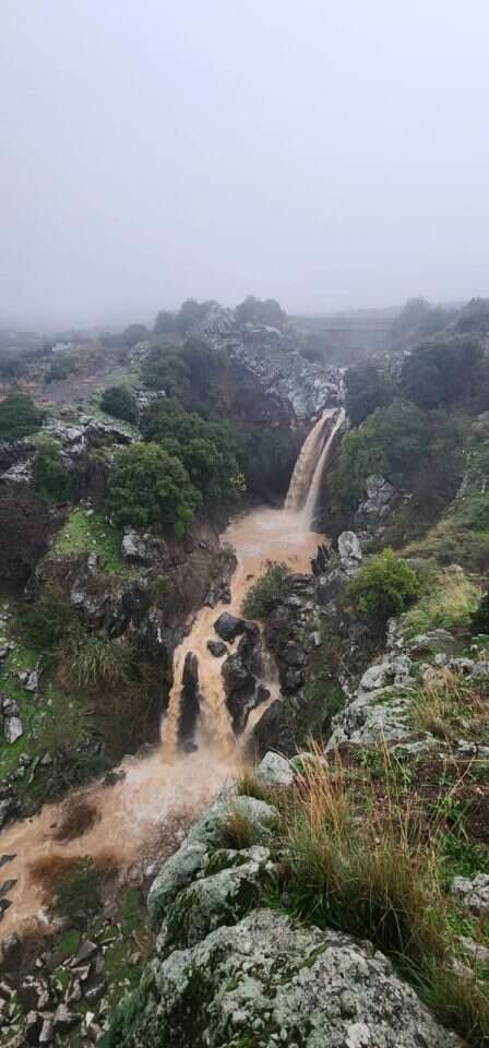 נחל סער זורם. | עופר שנער רשות הטבע והגנים