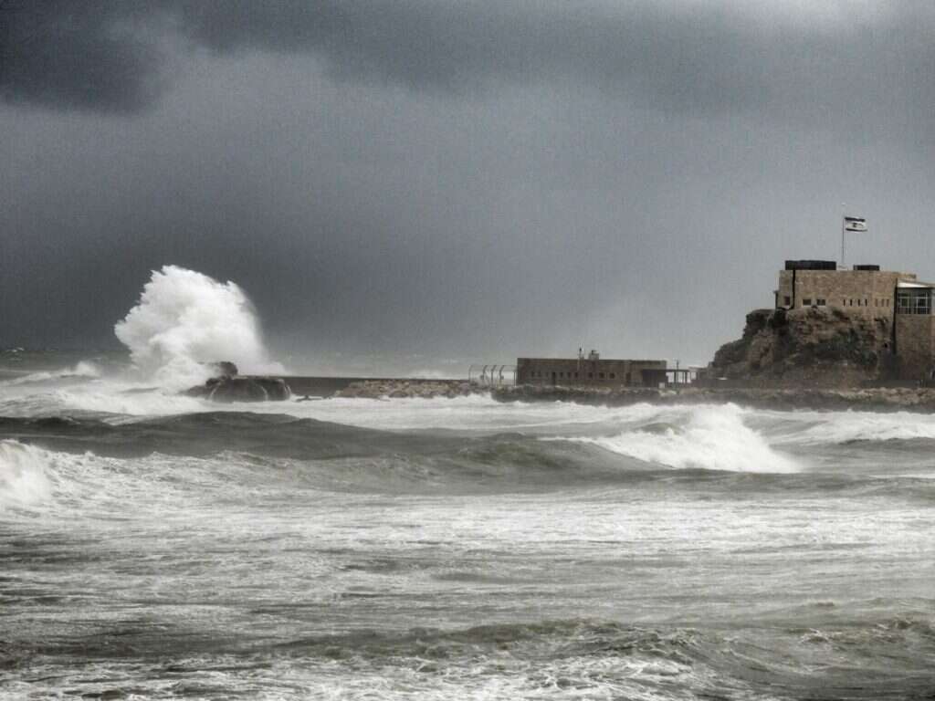 הגן הלאומי קיסריה במראה חורפי, בשבוע שעבר. | שרית פלצ'י-מיארה, רשות הטבע והגנים
