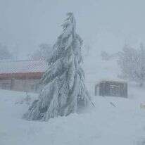 אתר החרמון, אתמול. | דוברות אתר החרמון