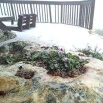 כפר עציון הבוקר. | אמיתי דוקוב