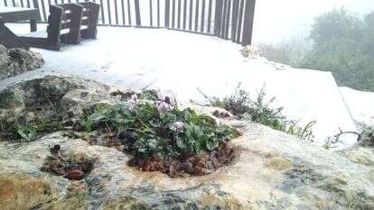 כפר עציון הבוקר. | אמיתי דוקוב