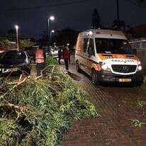 מהזירה בתל מונד. | תיעוד מבצעי איחוד הצלה