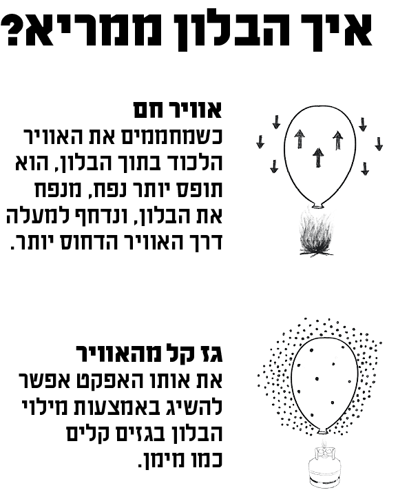 איור: דגנית רודובסקי איור: דגנית רודובסקי